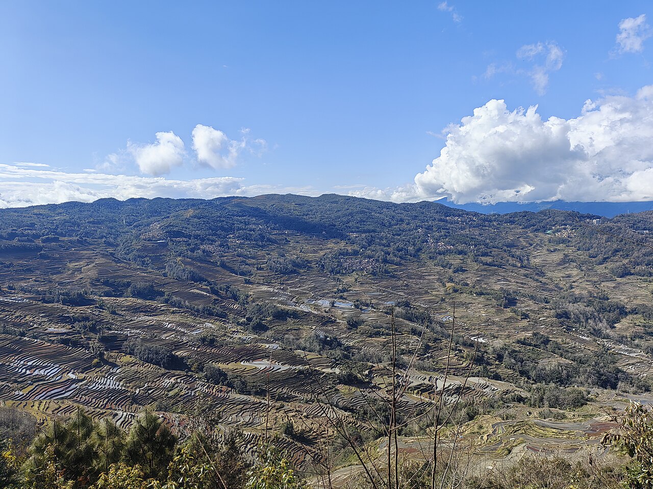 Wide Bada terrace panorama with wooded ridges and village-linked slopes